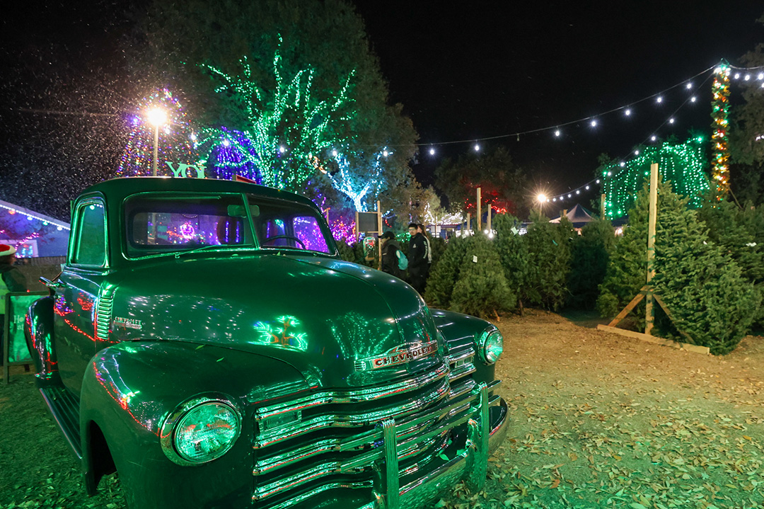 Holiday party at The Willows with festive lights and decor