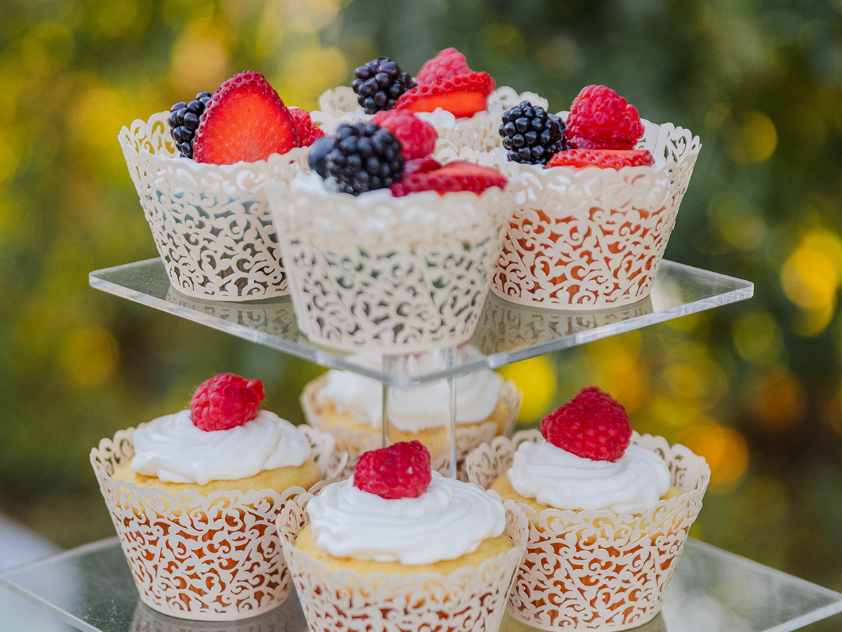 Reception at The Willows