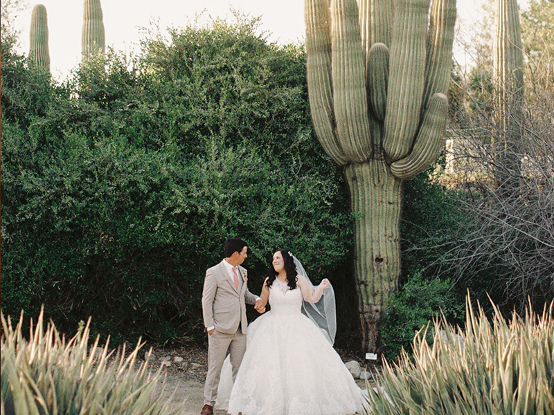 Wedding couple in front of Cacti